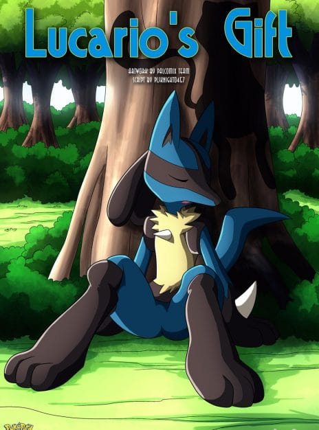 Lucario's Gift