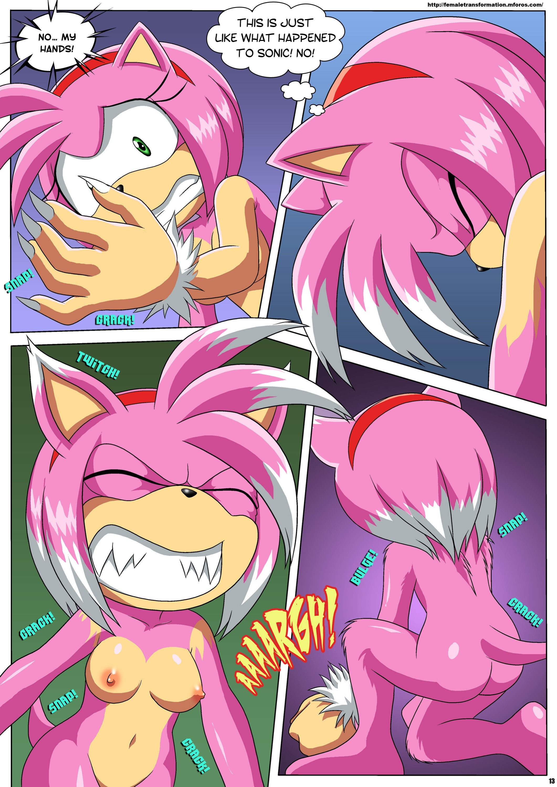 The Werehog 14