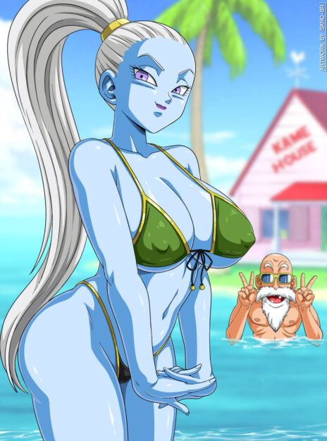 Vamos X Master Roshi 01