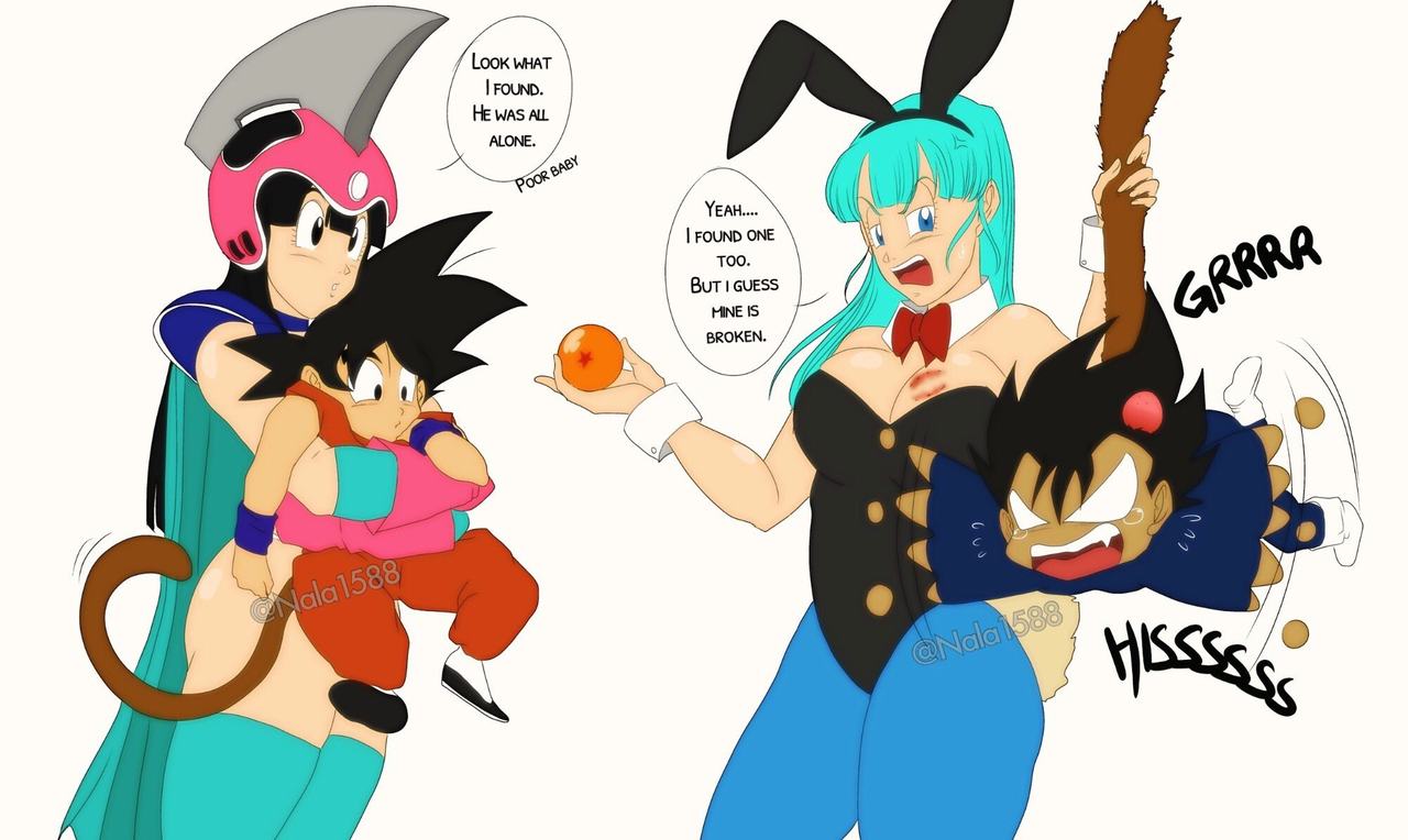 Nala1588 Dragon Ball Images 26