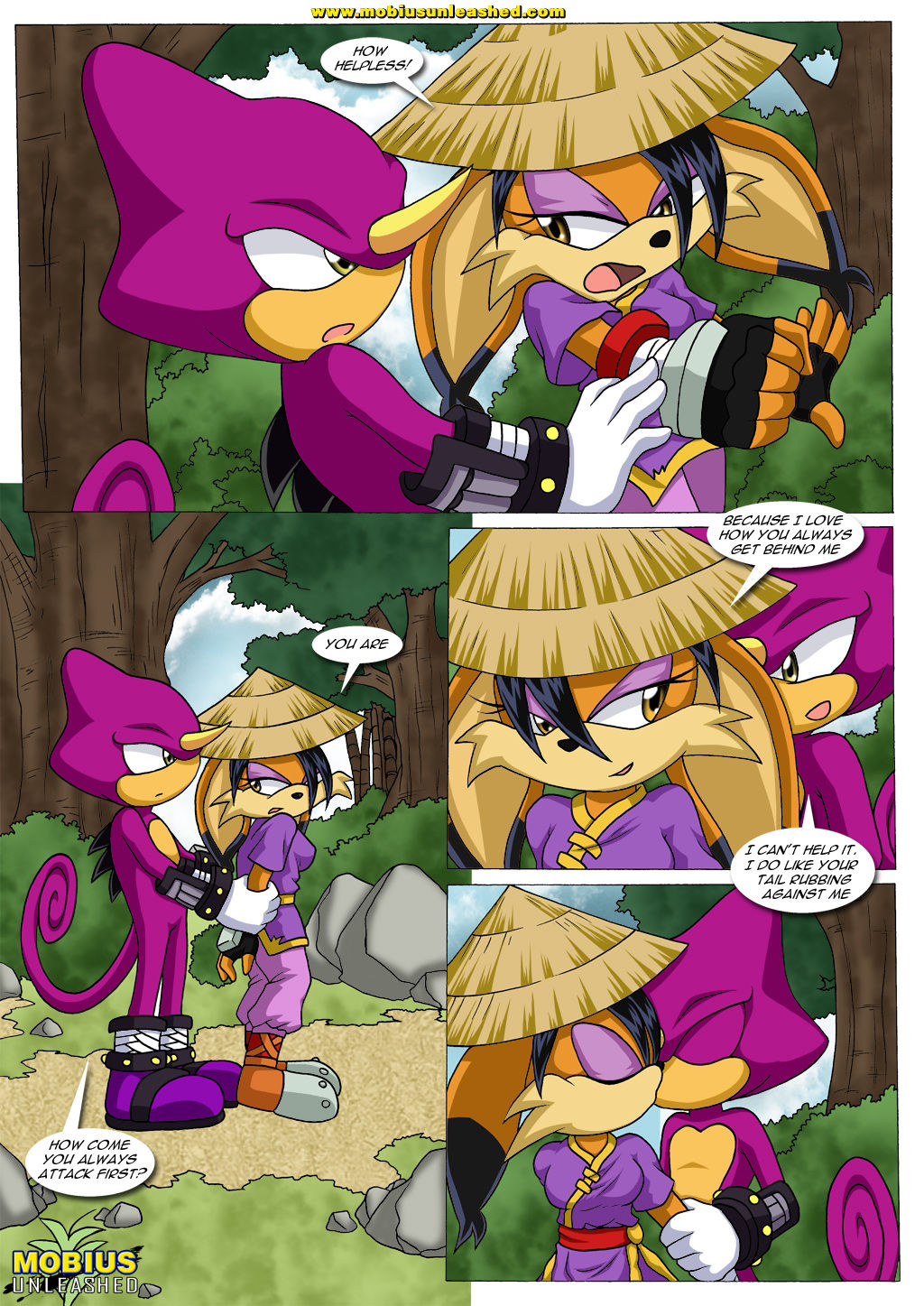 A Stormy Encounter Palcomix 03
