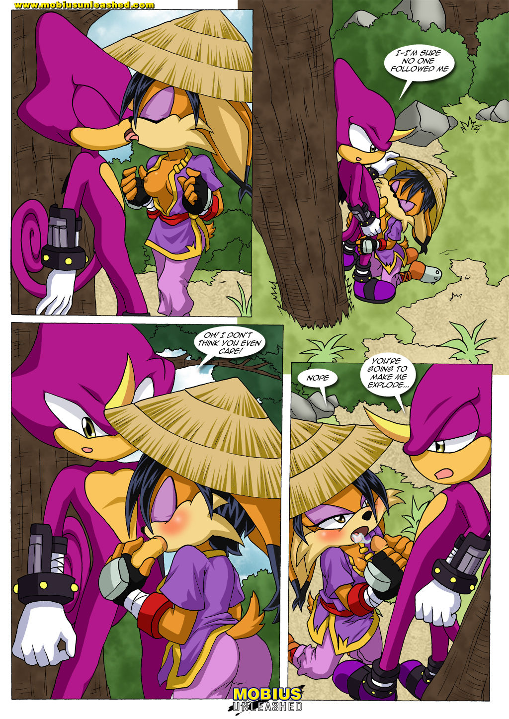 A Stormy Encounter Palcomix 04