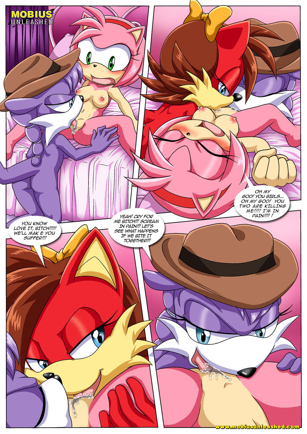 Amys Secret Palcomix 14