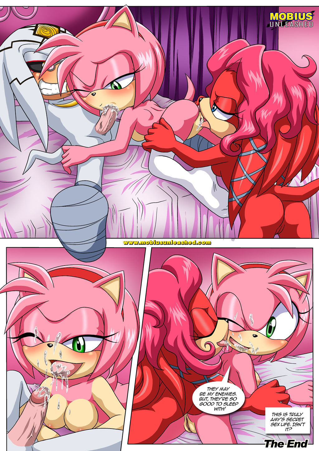 Amys Secret Palcomix 19