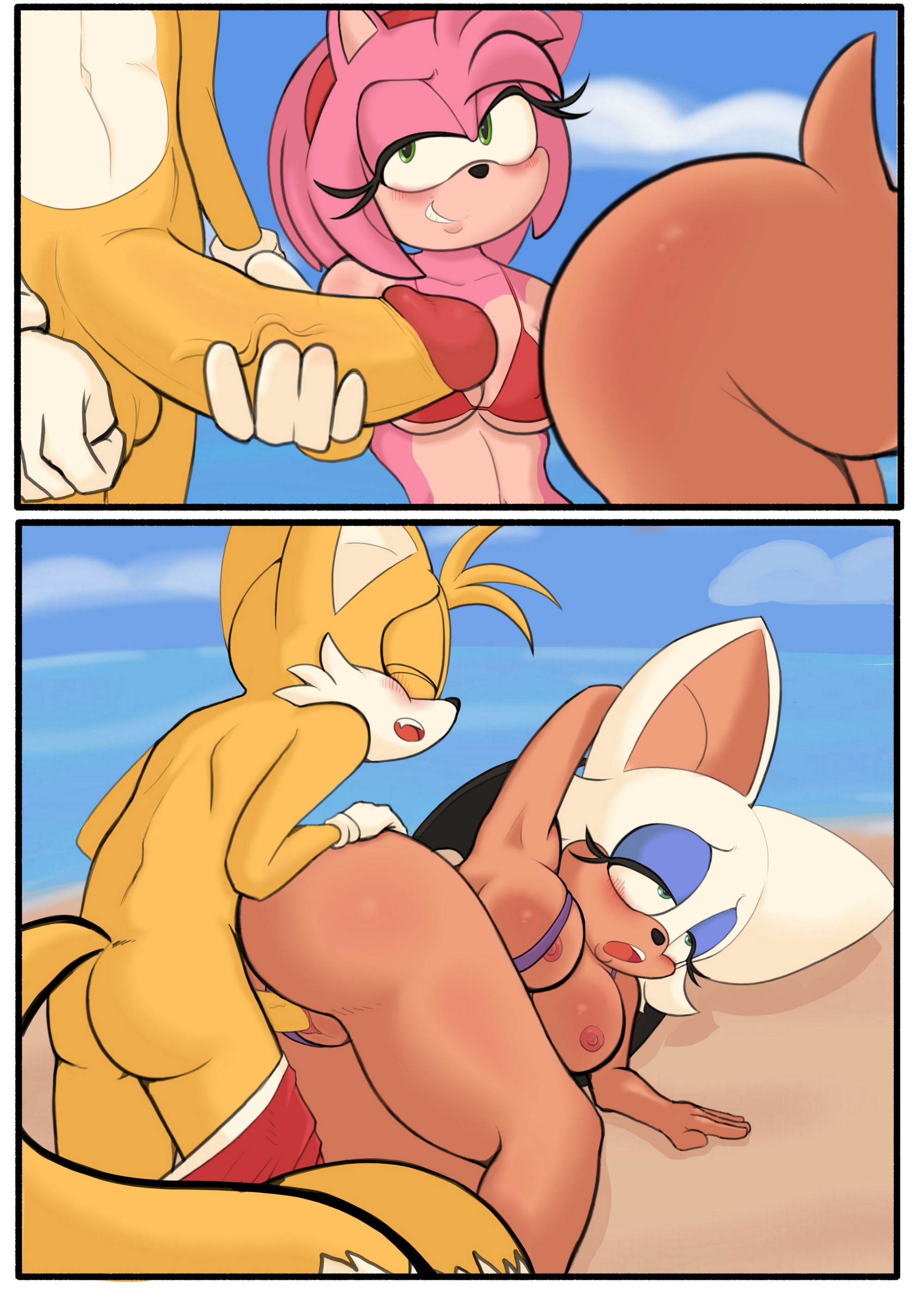 Tails At The Beach Pinkfalcon 04